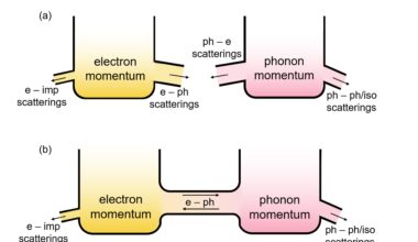 Coupled electrons and phonons may flow like water in 2D semiconductors