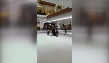 Houston Galleria incident: Shoplifter jumps from second story onto Galleria ice rink running from police