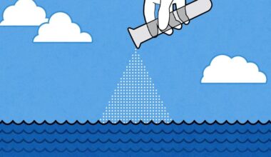 Is It Too Soon for Ocean-Based Carbon Credits?