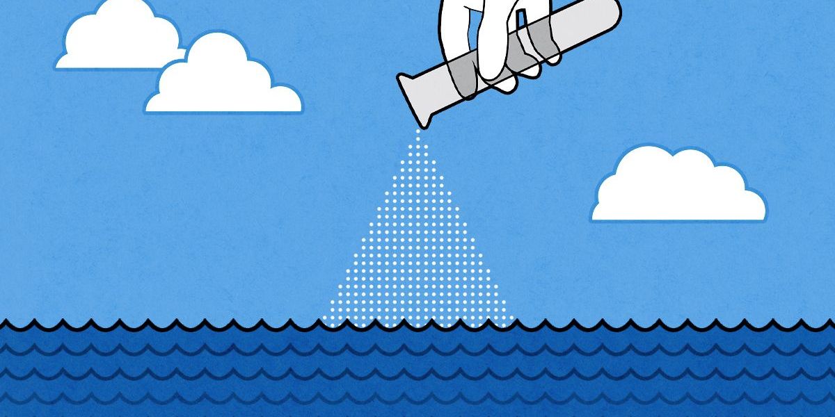 Is It Too Soon for Ocean-Based Carbon Credits?