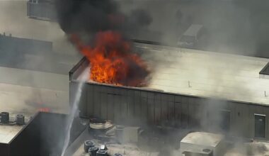 Fort Worth apartment fire: Resident rushed into burning building to save dog