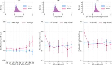 Chronic stress hormone surge linked to start of week in older adults