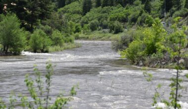 Colorado Parks and Wildlife makes new invasive zebra mussel veliger discovery near New Castle 