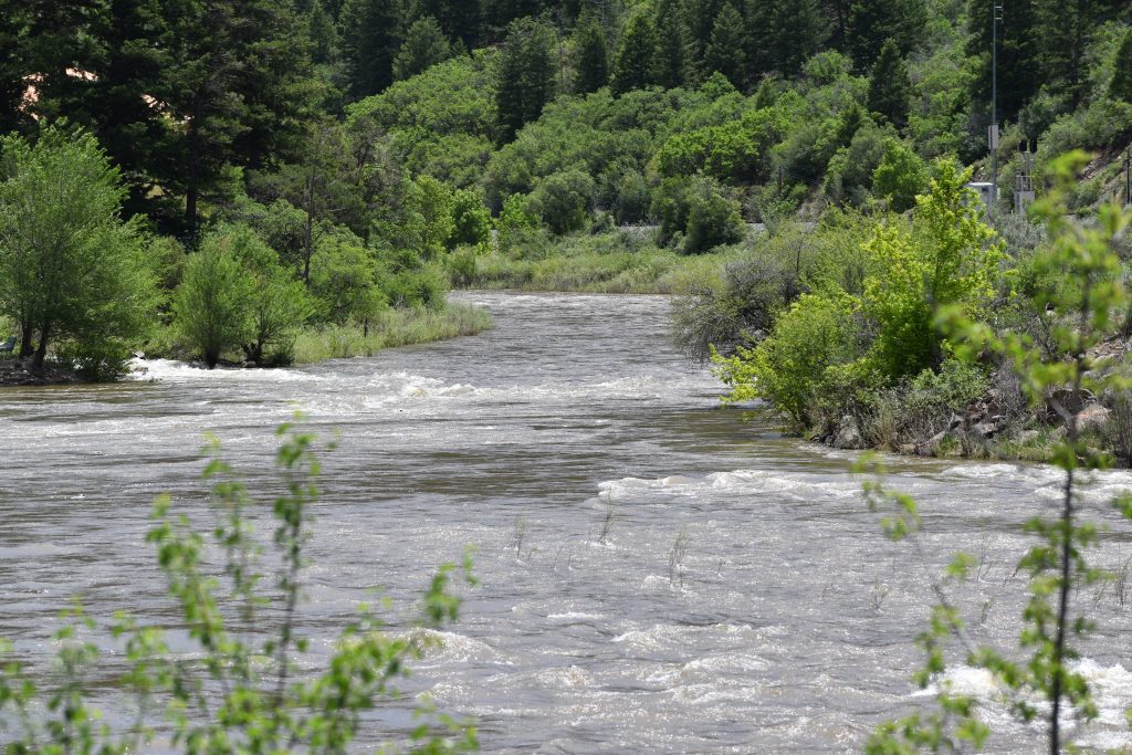 Colorado Parks and Wildlife makes new invasive zebra mussel veliger discovery near New Castle 
