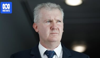 Preventative detention laws for migrants have failed, Tony Burke concedes