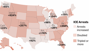 ICE Arrests Have Sharply Risen In Every State Since Trump Took Office