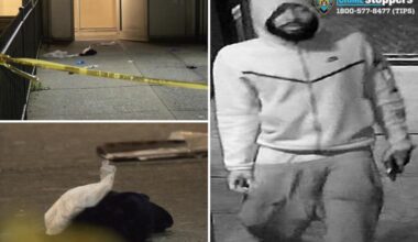 Stalker allgedly stabs two good Samaritans walking NYC woman home
