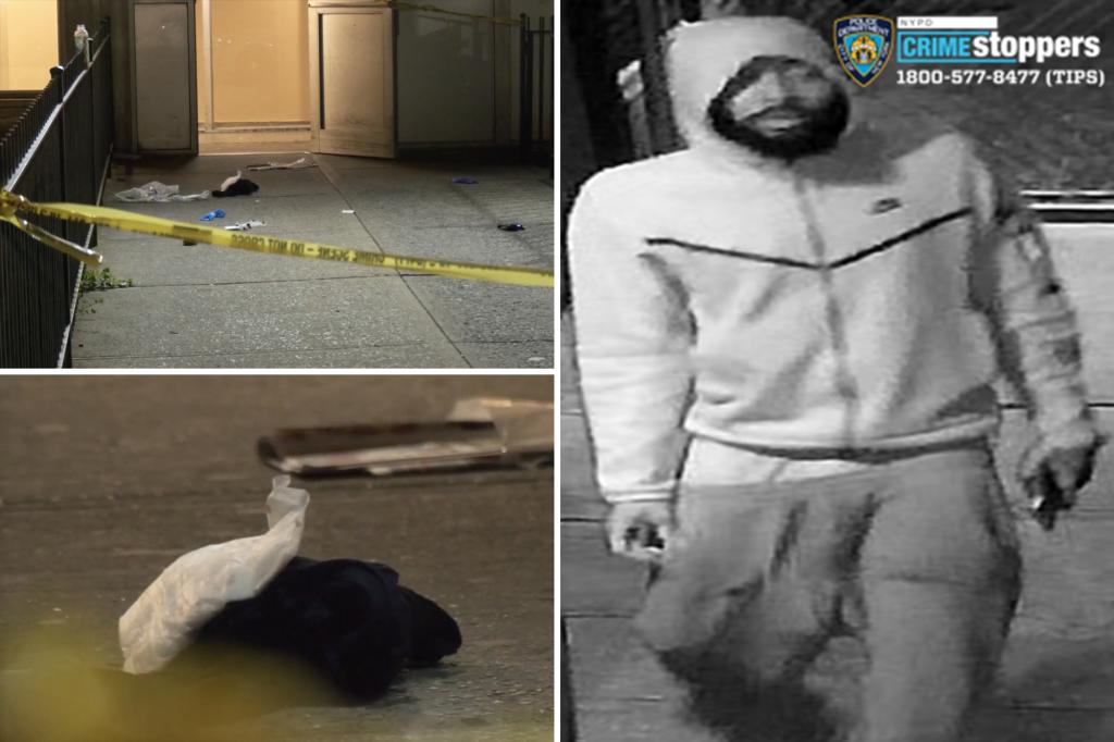 Stalker allgedly stabs two good Samaritans walking NYC woman home