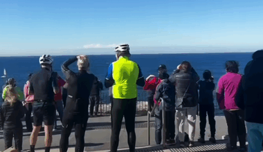Aussies flock to coastline to witness incredibly rare moment: 'Really cool'