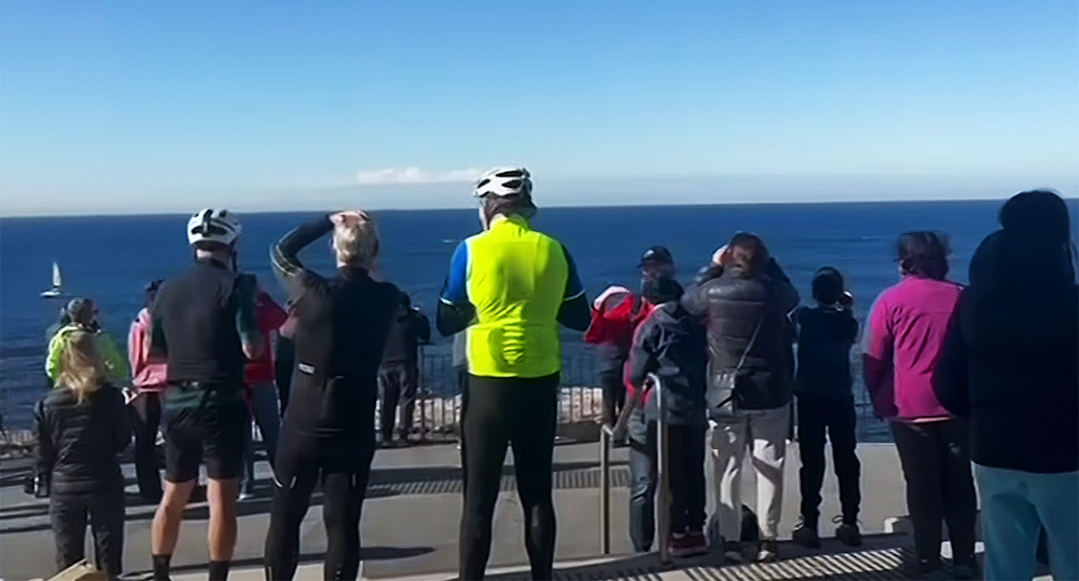 Aussies flock to coastline to witness incredibly rare moment: 'Really cool'