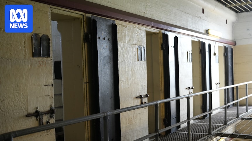 Old Parramatta Gaol could be major tourist spot if development concerns addressed, advocates say