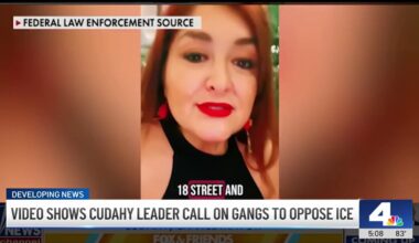 Demand for Cudahy Vice Mayor Cynthia Gonzalez’s resignation grows – NBC Los Angeles