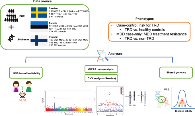 Genome-wide association meta-analysis and rare copy number variant analysis of treatment-resistant depression