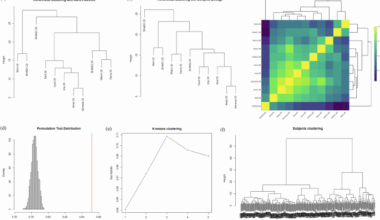 Unraveling time-dependent genetic components underlying alcohol response