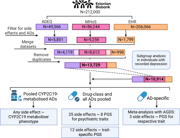 Genetic influences on antidepressant side effects: a CYP2C19 gene variation and polygenic risk study in the Estonian Biobank