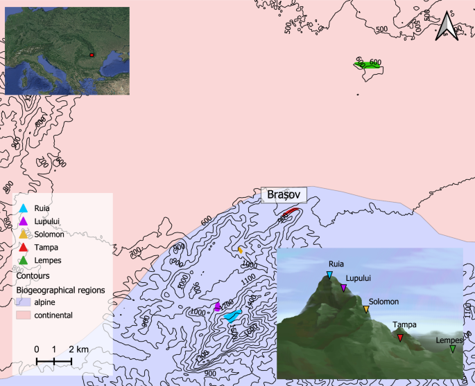 Genetic diversity and fine-scale spatial genetic structure of European beech populations along an elevational gradient