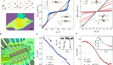 Quantum spin Hall effect in magnetic graphene