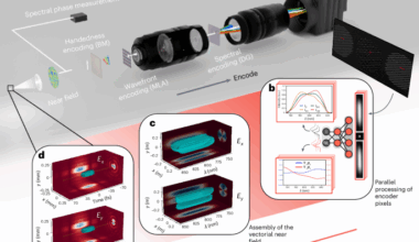 Single-shot spatiotemporal vector field measurements of petawatt laser pulses