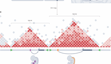 Structural variants in the 3D genome as drivers of disease
