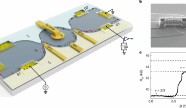 Coherent bunching of anyons and dissociation in an interference experiment
