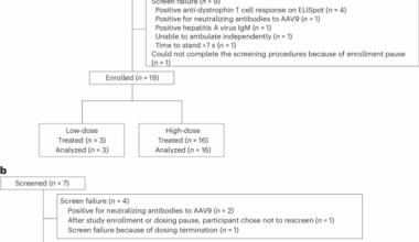 AAV mini-dystrophin gene therapy for Duchenne muscular dystrophy: a phase 1b trial