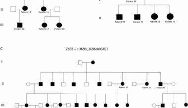 Genetic screening of tuberous sclerosis complex in Sicily with a focus on neurological manifestations
