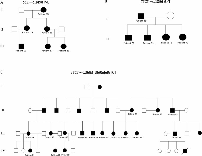 Genetic screening of tuberous sclerosis complex in Sicily with a focus on neurological manifestations