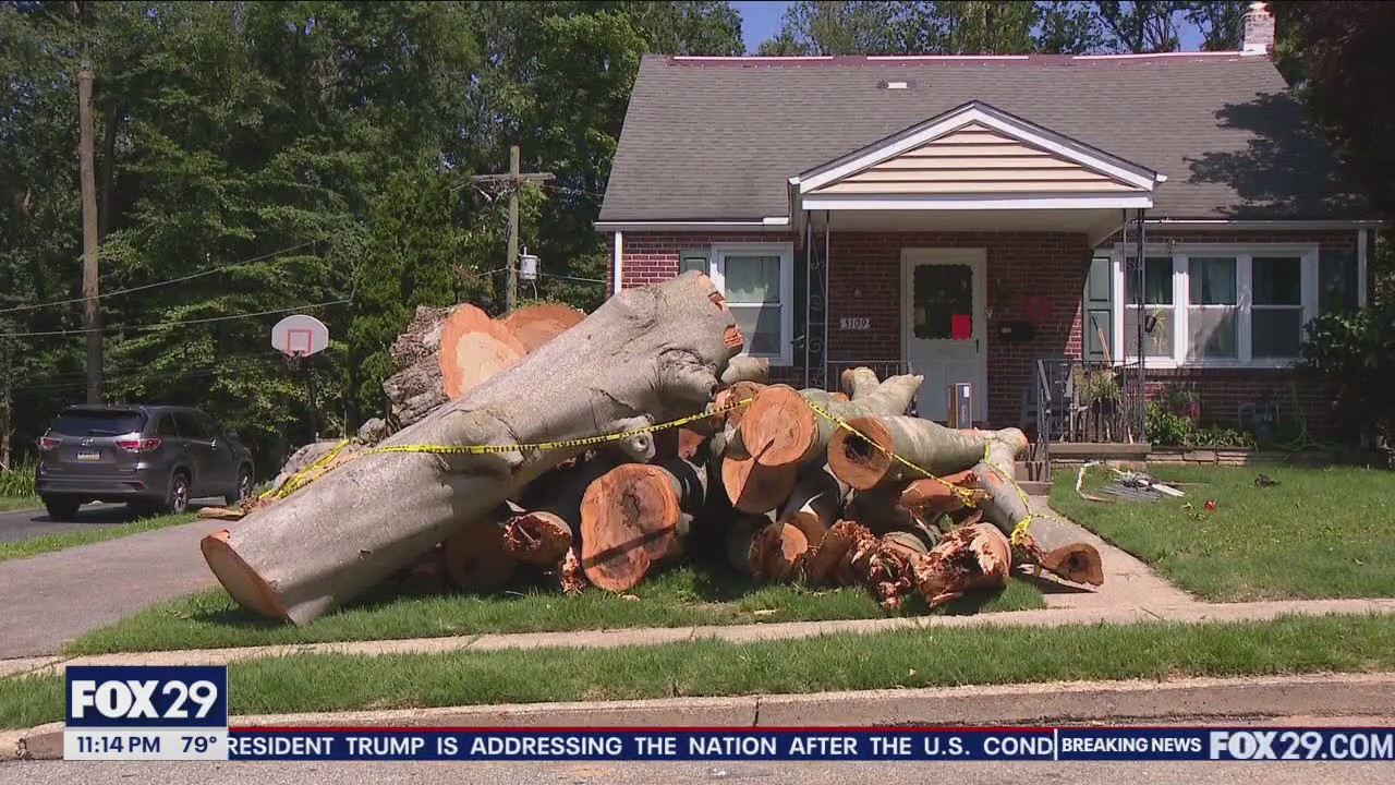 Neighbors rescue woman from rubble after tree falls on home during storms