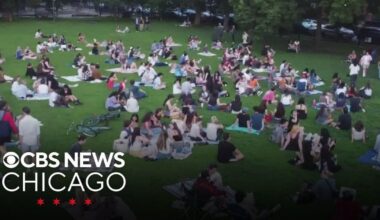 Adult spelling bee held in Chicago's Wicker Park