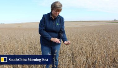 US farmers face tough outlook as China switches suppliers amid trade war