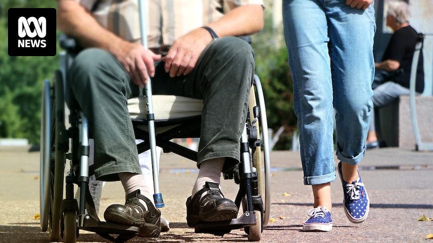 Grattan Institute pitches blueprint to 'save' NDIS as foundational supports rollout stalls