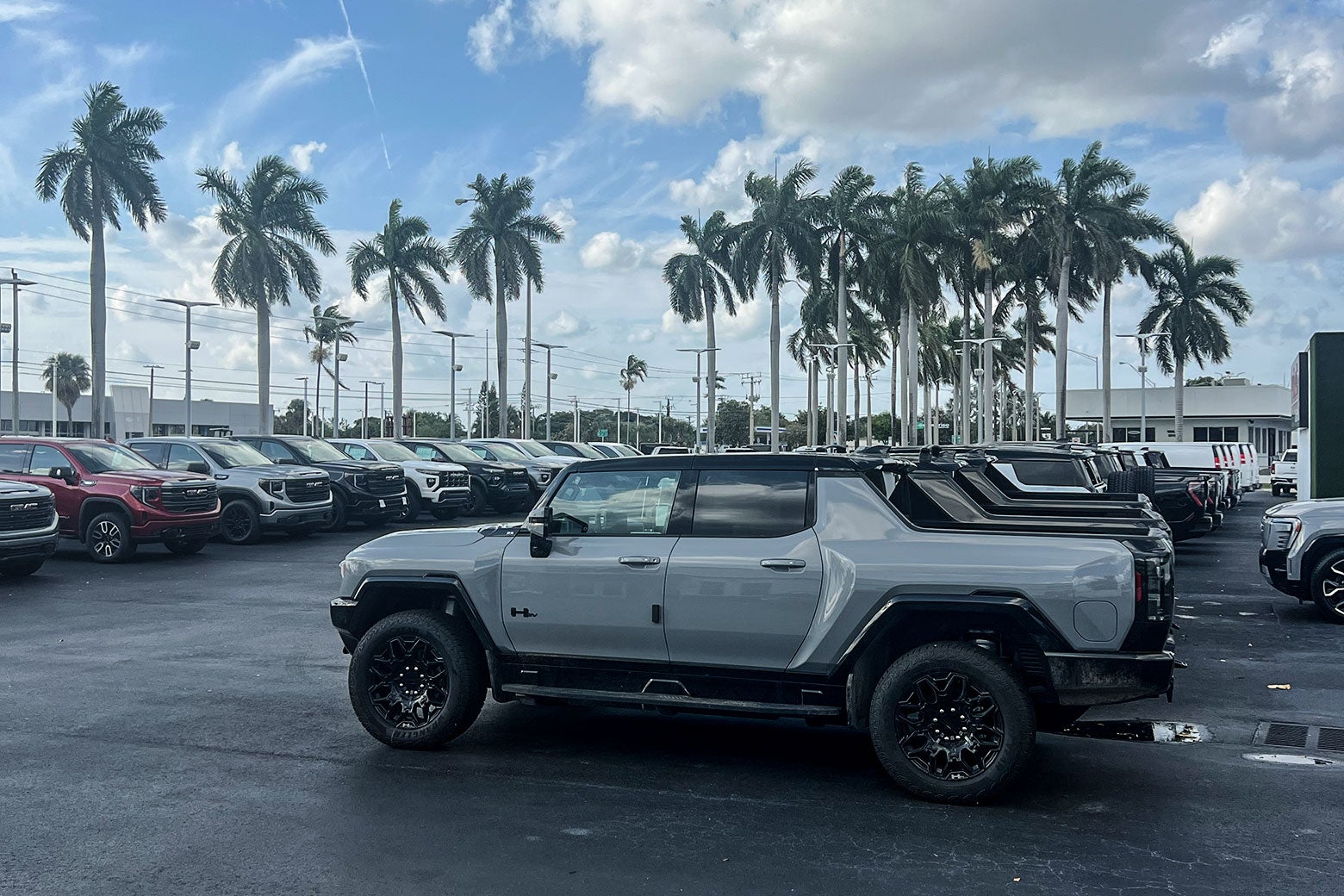 A Florida car dealership lot, filled with Hummer pickup EVs, with palm trees in the background.