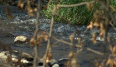 Some Jackson County creeks spike past state bacteria standards | Top Stories