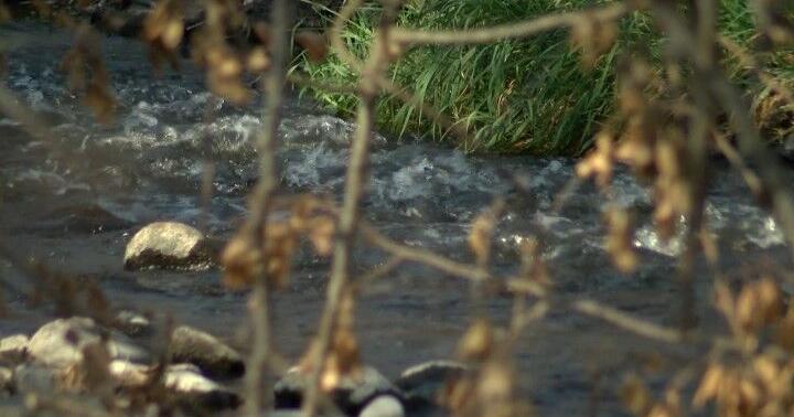 Some Jackson County creeks spike past state bacteria standards | Top Stories