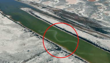 Aussie pilot captures extraordinary moment during record-breaking event : 'Amazing scenes'