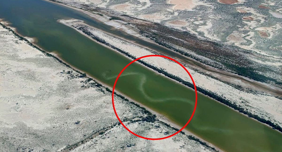 Aussie pilot captures extraordinary moment during record-breaking event : 'Amazing scenes'