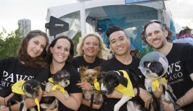 PAWS Chicago Beach Party on July 17 supports No‑Kill mission | Candid Candace