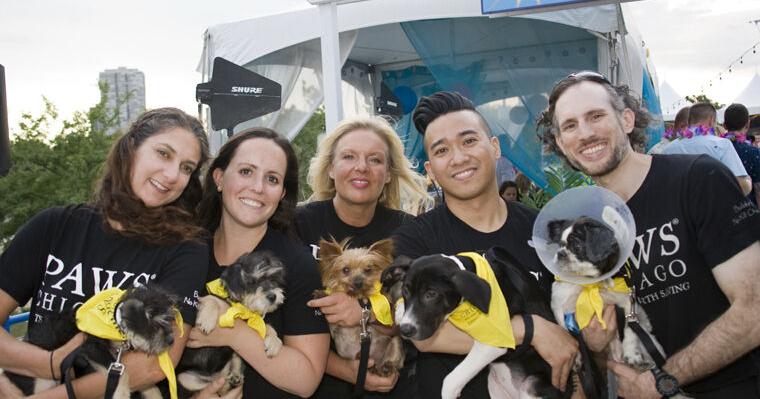 PAWS Chicago Beach Party on July 17 supports No‑Kill mission | Candid Candace