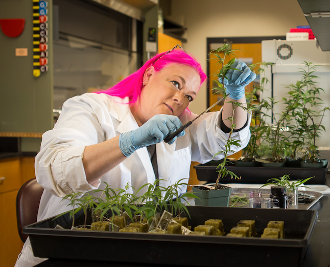 Interview with Anna Schwabe, PhD