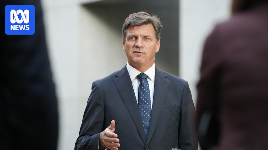 Angus Taylor against Liberal quotas for women