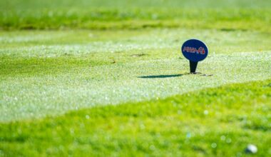 Michigan high school boys golf: All-State teams revealed for all divisions