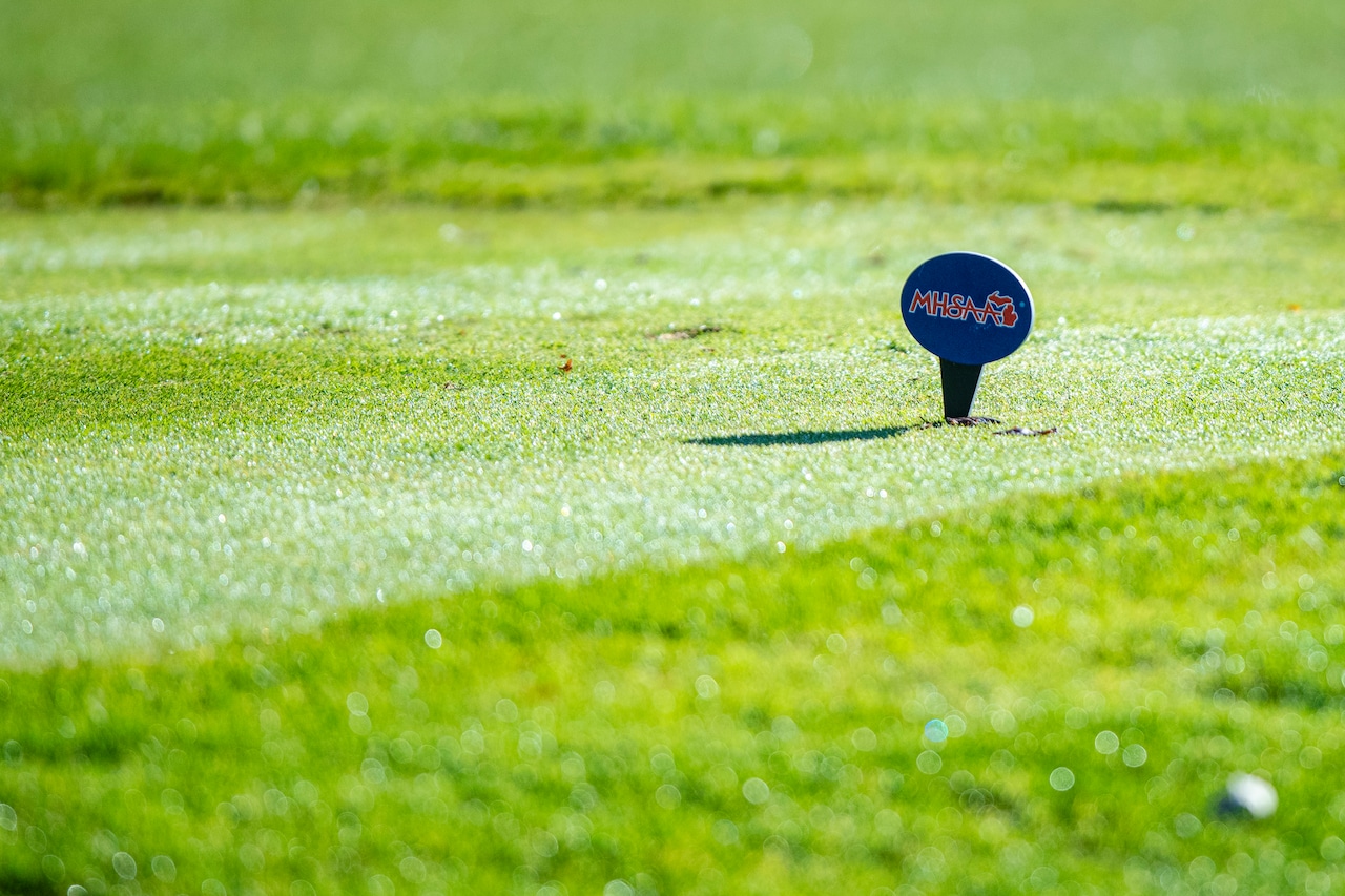 Michigan high school boys golf: All-State teams revealed for all divisions
