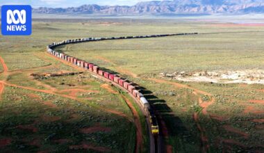 Food supply chain system costs farmers and regions millions of dollars