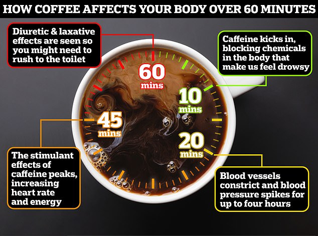 Have you ever wondered what exactly happens inside your body after taking that first sip