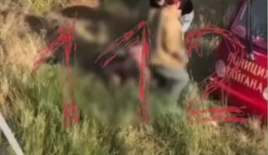 lions attacked the director of the park "Taigan" Zubkov in the Crimea — EADaily, June 22nd, 2025 — Society, Russia
