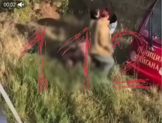 lions attacked the director of the park "Taigan" Zubkov in the Crimea — EADaily, June 22nd, 2025 — Society, Russia