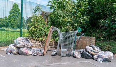 Despite the acres of green space nearby, Brinnington seems trapped in a spiral of discontent