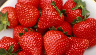 Scientists have shown that as well as satisfying our tastebuds, strawberries could help to ward off dementia too (Stock image)