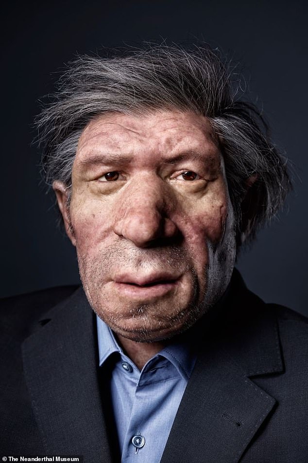 This reconstruction from the Neanderthal Museum, Germany, shows what a Neanderthal man might look like in the modern day