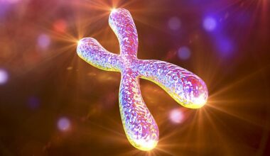 Every cell in our body, except red blood cells, contains DNA, a molecule that carries genetic instructions for life